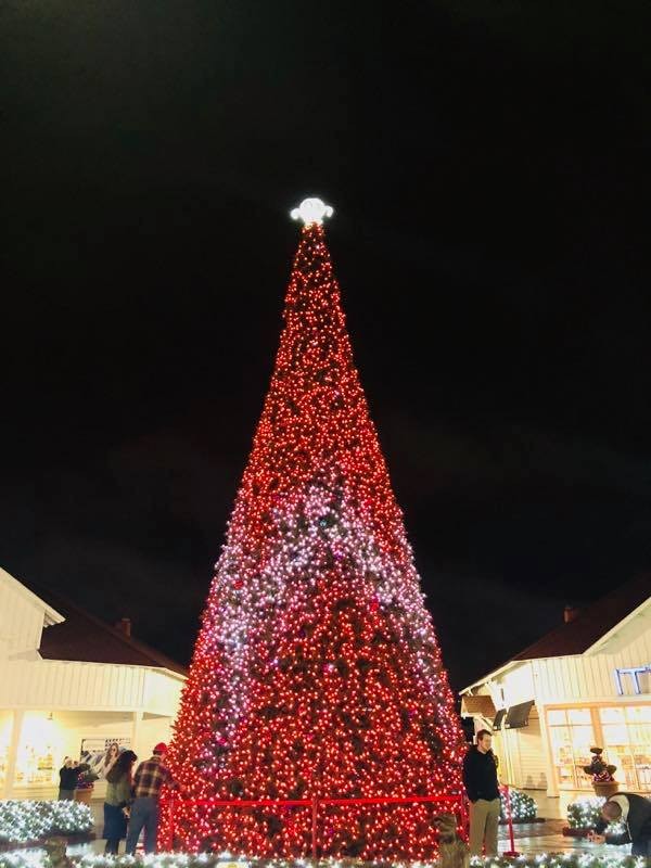 O Christmas Tree… O Christmas Tree... How Lovely are thy branches at Broadway at the Beach!