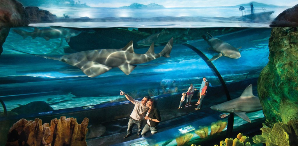 Ripley's Aquarium at Broadway at the Beach